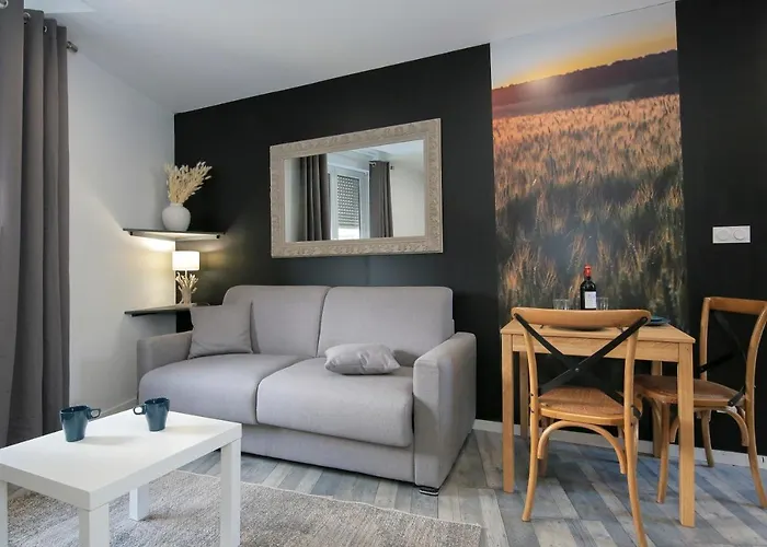 Les Champs, T2 Hypercentre Chic Et Cosy Wifi Par Sovalfi